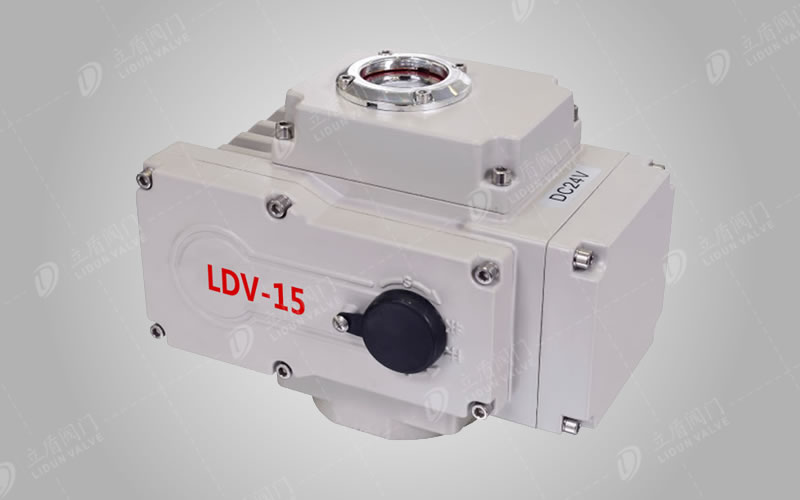 电动执行器（精小型）LDV-15