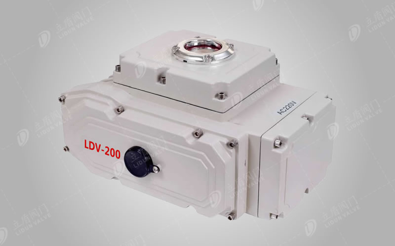 电动执行器（精小型）LDV-200
